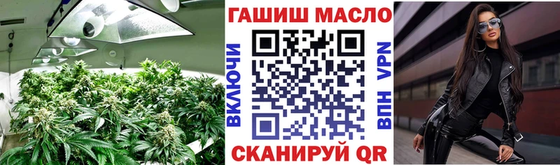 ТГК гашишное масло где купить наркоту Новый Уренгой