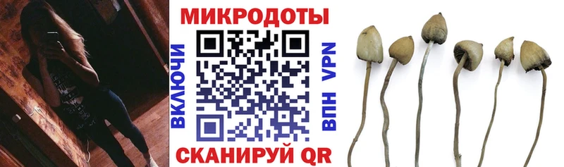 купить Новый Уренгой Псилоцибиновые грибы MAGIC MUSHROOMS
